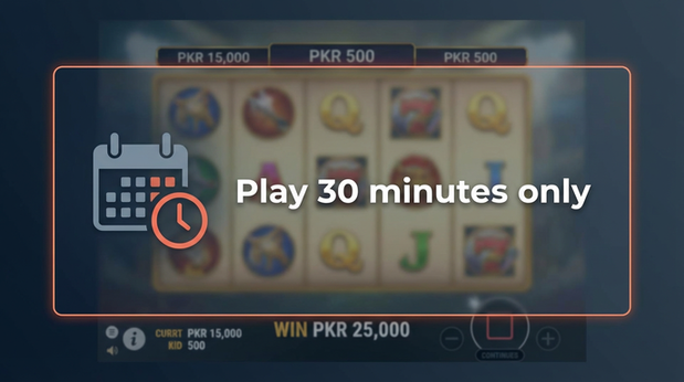 Payment and PKR controls in bc game pk - 6